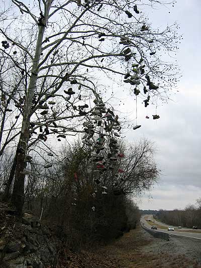Shoe Tree near Cherokee, AL