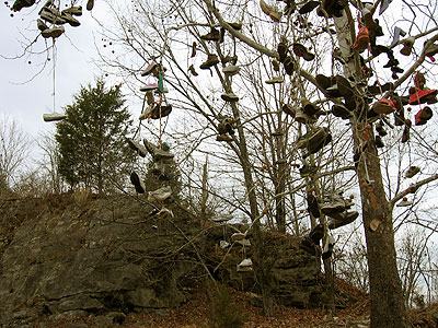 Shoe Tree near Cherokee, AL.  Photo 2